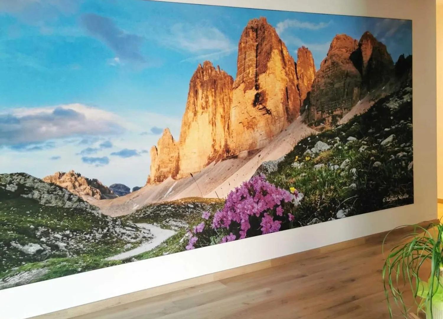 Bed & Breakfast Verdi Armonie Rooms And Wellness Lozzo Cadore